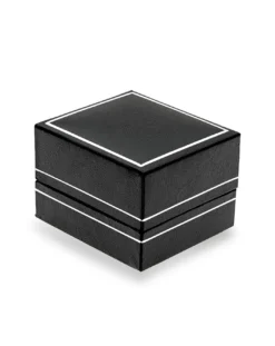 9 Carat White Gold Cubic Zirconia Dress Ring With Feature Shoulders -MONSON Clothing Shop zq178 ringbox